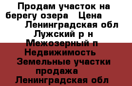 Продам участок на берегу озера › Цена ­ 400 000 - Ленинградская обл., Лужский р-н, Межозерный п. Недвижимость » Земельные участки продажа   . Ленинградская обл.